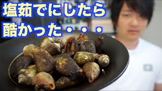 喧嘩する貝！？チャンバラ貝を塩茹でにしたら酷かった・・・