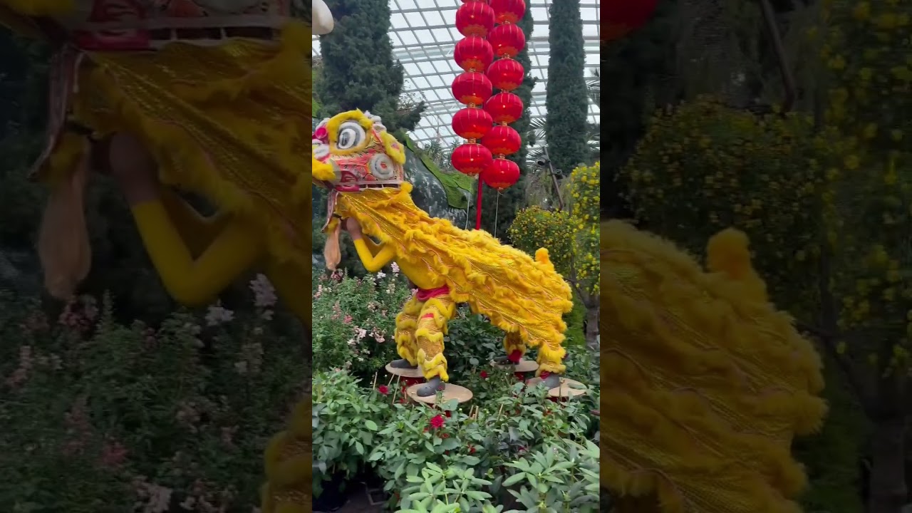 Chinese New Year 2023  