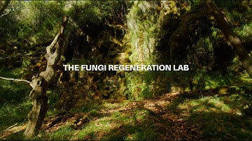 The Fungi Regeneration Lab | Project Video