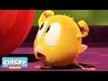 Where's Chicky? Funny Chicky 2020 | CHICKY'S TRAINING | Chicky Cartoon in English for Kids