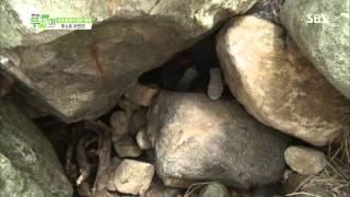 [생방송투데이] 130813 #2(1)