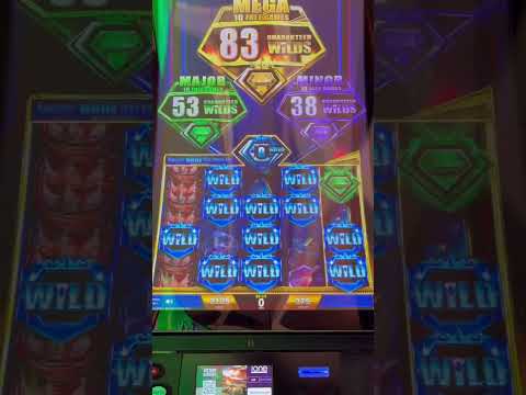 Winpot venWP metepec