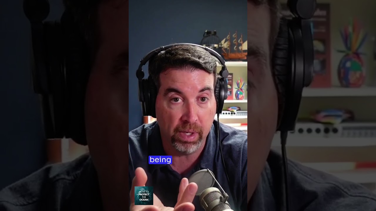 Built-in microfiber filters could cost less.  🎧 Listen to the full episode.