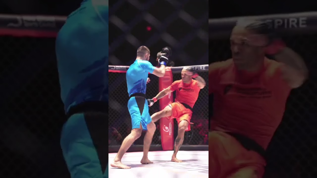 Lucha figital. FATAL FURY: City of the Wolves