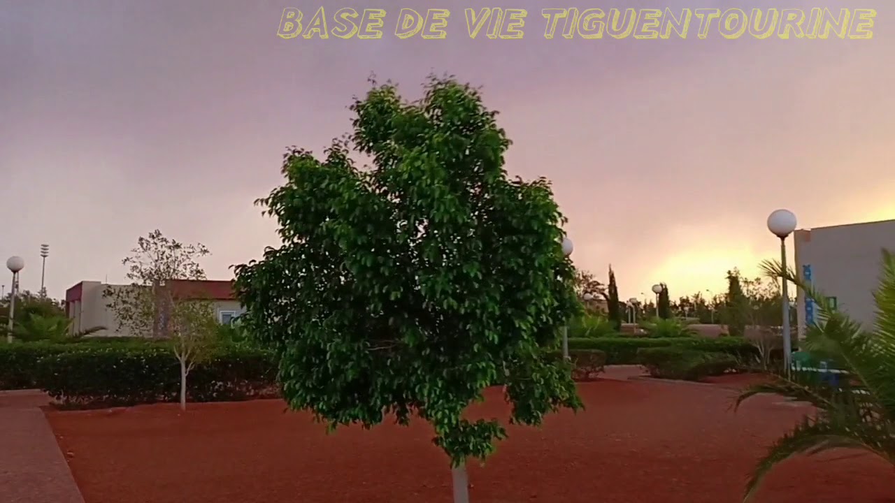 amazon derbies femme