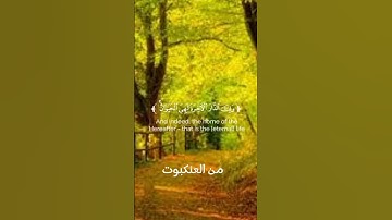 من سورة العنكبوت الشيخ ياسر الدوسري #foryou #viral #fypage #fypシ #islam #القرآن_الكريم_راحة_نفسية #q