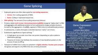 PCAT: Transcription and Translation - Part 4 - Gene Splicing