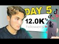 I started a tiktok theme page from scratch 5 day results inside  episode 1