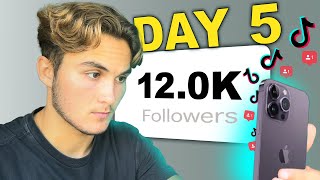 I Started A TikTok Theme Page From Scratch (5 Day Results Inside  Episode 1)