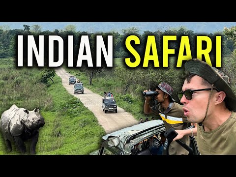 Video: Een reis naar Kaziranga National Park