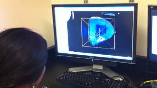 Whole Brain Catalog merging digital neurons