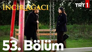 İncir Ağacı 53. Bölüm