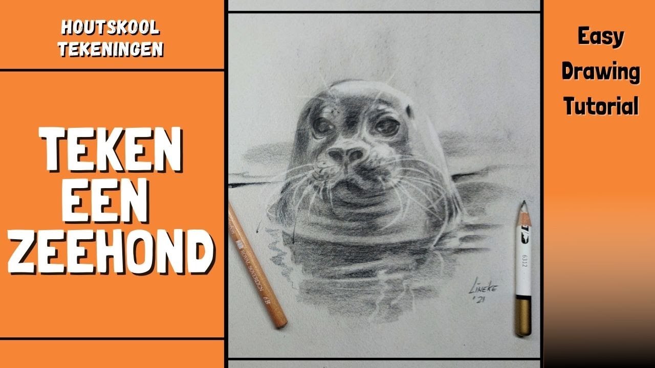 Hoe Teken Je Een Zeehond Tekening Zeehond Etsy Nederland