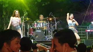 Download Lagu #ไม้เลื้อยแบนด์ ปี 2565 MP3