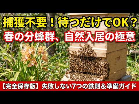 YouTubeWatch動画で実践！ミツバチとチョウを呼ぶ庭の作り方