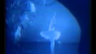 The Dying Swan Galina Ulanova 1940