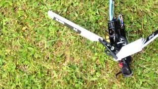 Align Trex 450 Plus DFC Crash (aftermath)