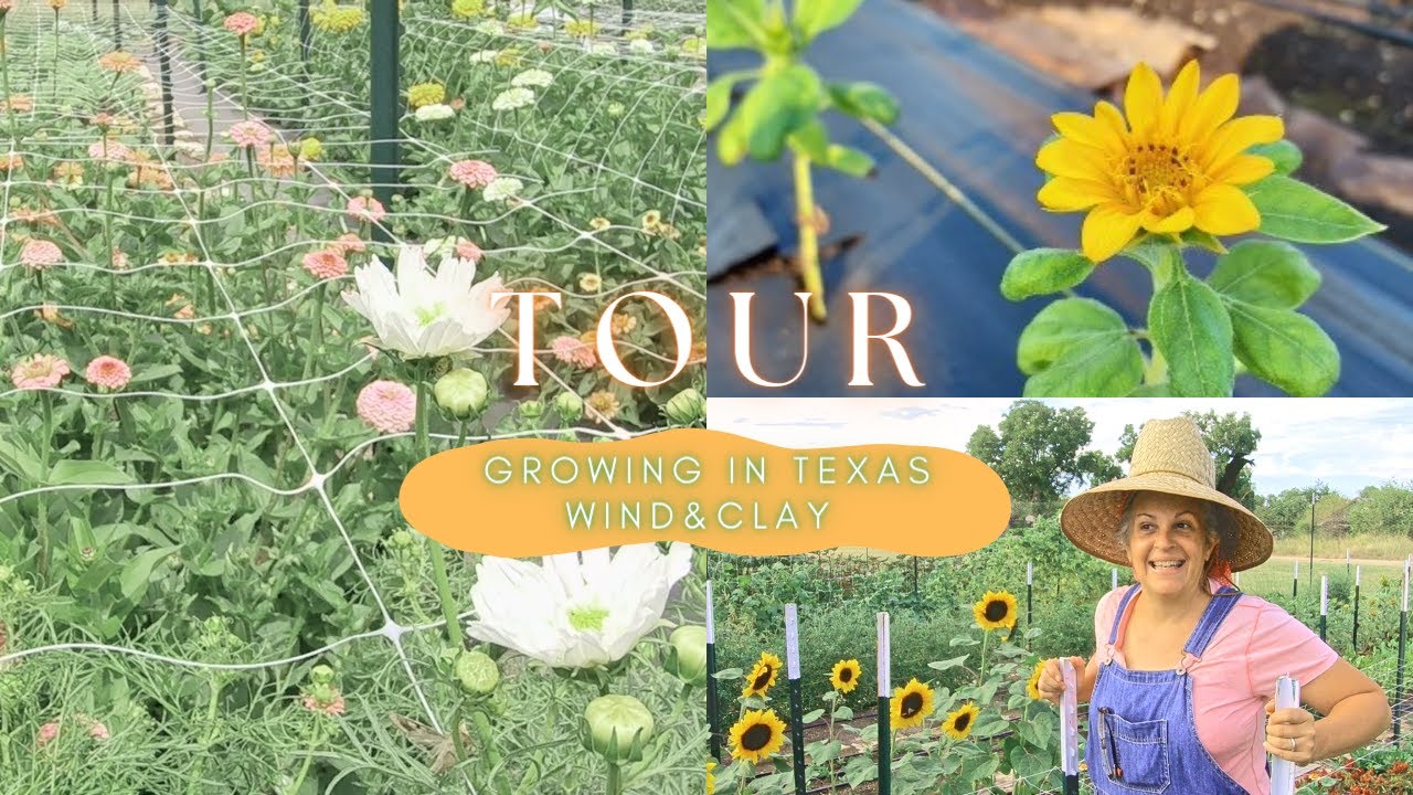 Beginning No-Till Flower Farm Tour | The Challenges of Growing Flowers in Clay Soil