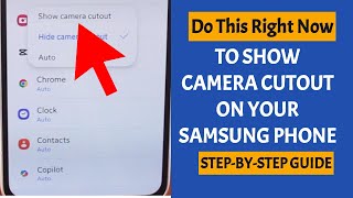 How to Show Camera Cutout on Samsung Phone screenshot 5