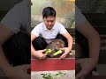 Xingxing：I Only Eat Peeled Cucumbers. #Monkey #Animal #Cute #Funny #Fy