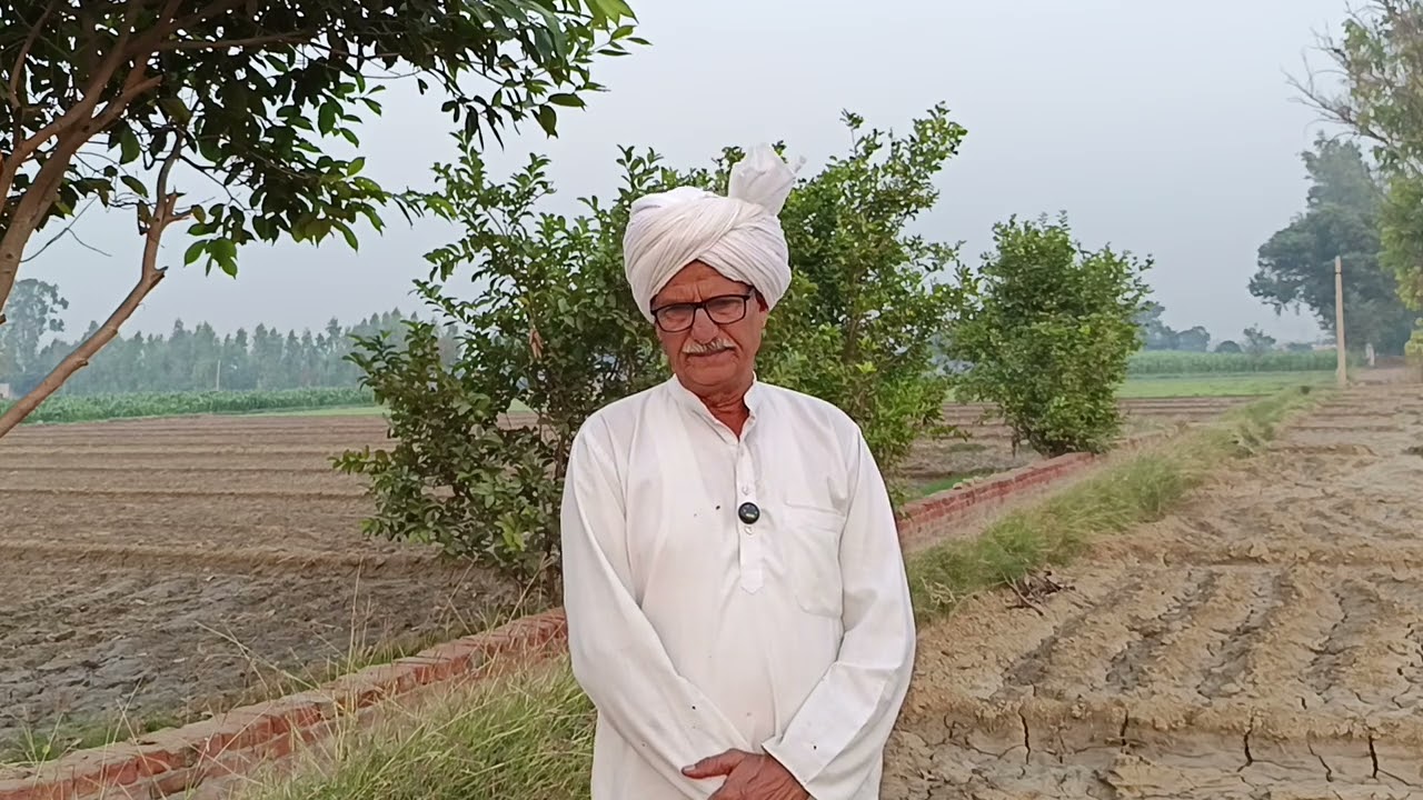 लड़की के भाई ने बहन के प्रेमी को मारा प्रेमी के बाप ने लड़की के बाप को मारा लव मैरिज से उजड़ गए दो 