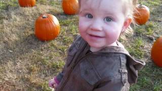Pumpkin Patch 2008