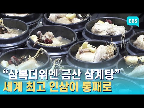 “1만 <strong>3천원에</strong> 건강 충전!”...2024 금산 삼계탕축제 7월 24일 개막