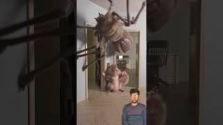 Spider vs squirrel #youtubeshorts #funny