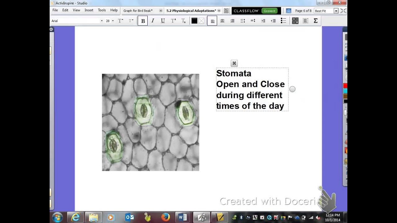 Physiological Adaptations