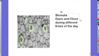 Physiological Adaptations