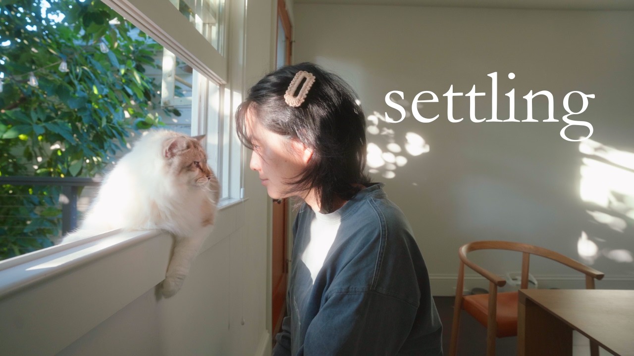 Making Life Feel Cozy ✷ new routines & rituals, exploring the bay