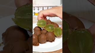 いきなり激うま!シャインマスカットのチョコバーク #簡単レシピ #おうちカフェ #recipe #レシピ #チョコレートメランコリー