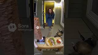 Cat play music part 16 sora ai 2