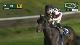 Vidéo de la course PMU FLOR DE NOCHE H.
