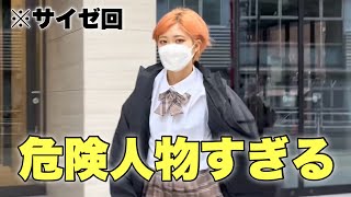 【金魚のフンシリーズ】1番好きな回視聴してみた