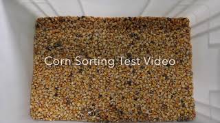 SG Corn Color Sorting Machine