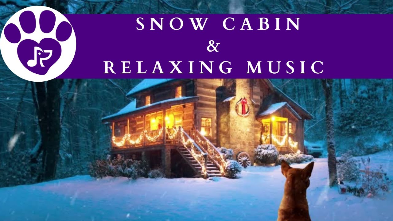 Music For Dogs & Cats with Anxiety [8 Hours] 🏡 Snow Cabin Music with Calming Sounds