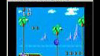 Sonic 1 Master System Green Hill Zone..?