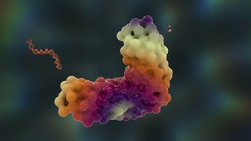 Realize a universe of possibilities with the Orbitrap Astral Zoom Mass Spectrometer