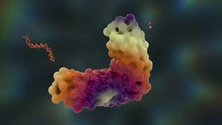 Realize a universe of possibilities with the Orbitrap Astral Zoom Mass Spectrometer