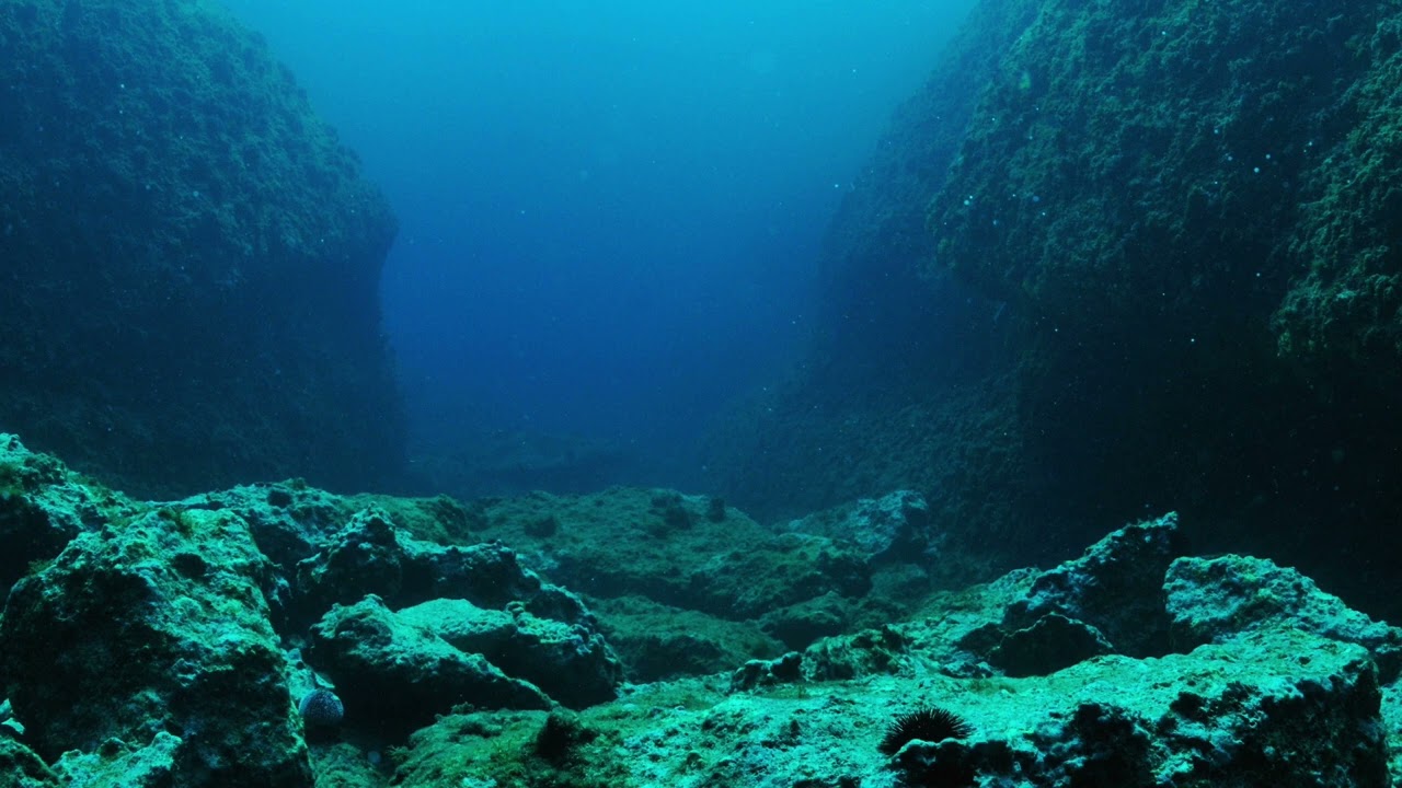 Satori Rewire - Deep Sea Dissonance (Instrumental)