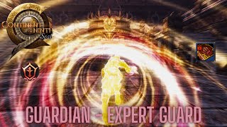 C9 ► Perfect Grade Skillbook Showcase - Lessons in Defense, by Kemahl Drake: Expert Guard