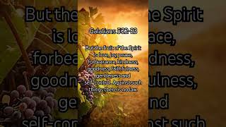 What's your fruits? 🙏🏾✝️ #god #jesus #jesuschrist #bible #scripture #amen #shorts #christian #christ