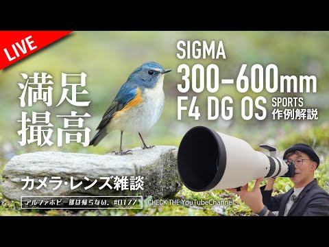 【先行レビュー】SIGMA 300-600mm F4 DG OS | Sports 作例解説 カメラ・レンズ雑談 0177