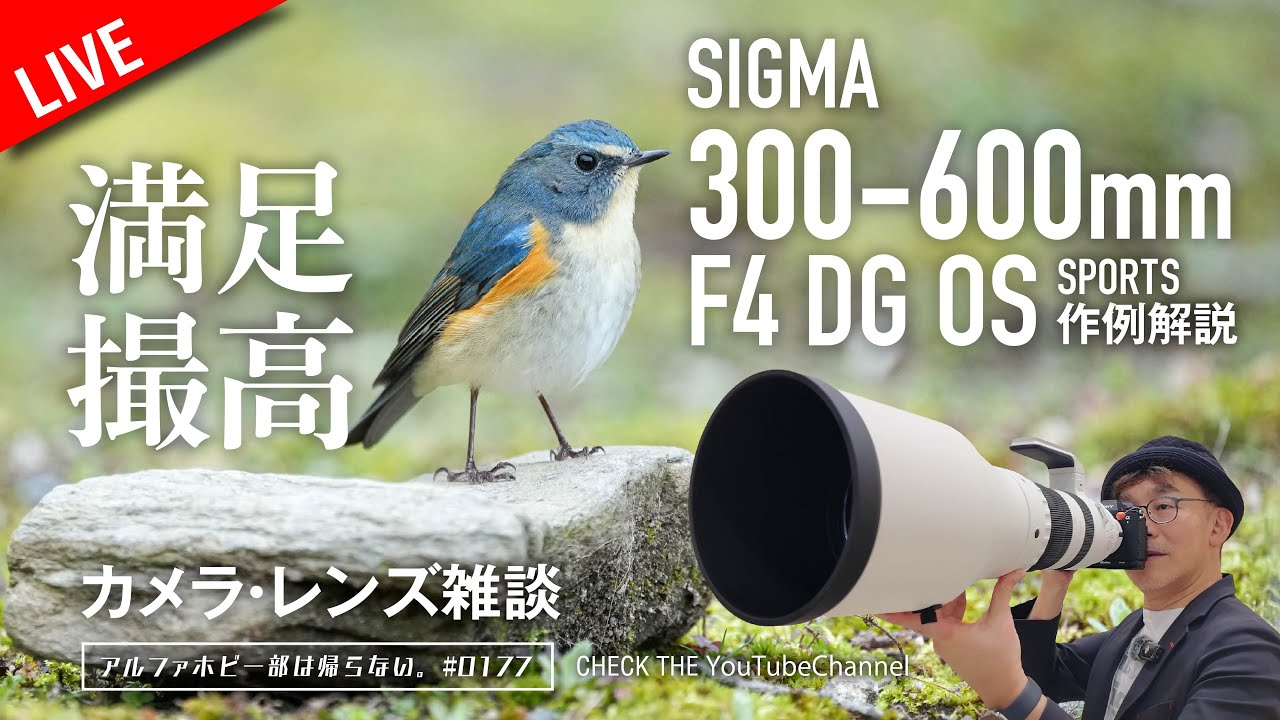 先行レビュー】SIGMA 300-600mm F4 DG OS | Sports 作例解説 カメラ 