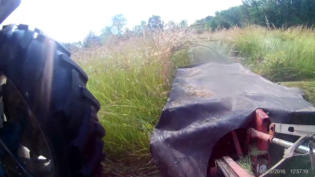 Ford 5900 cutting hay