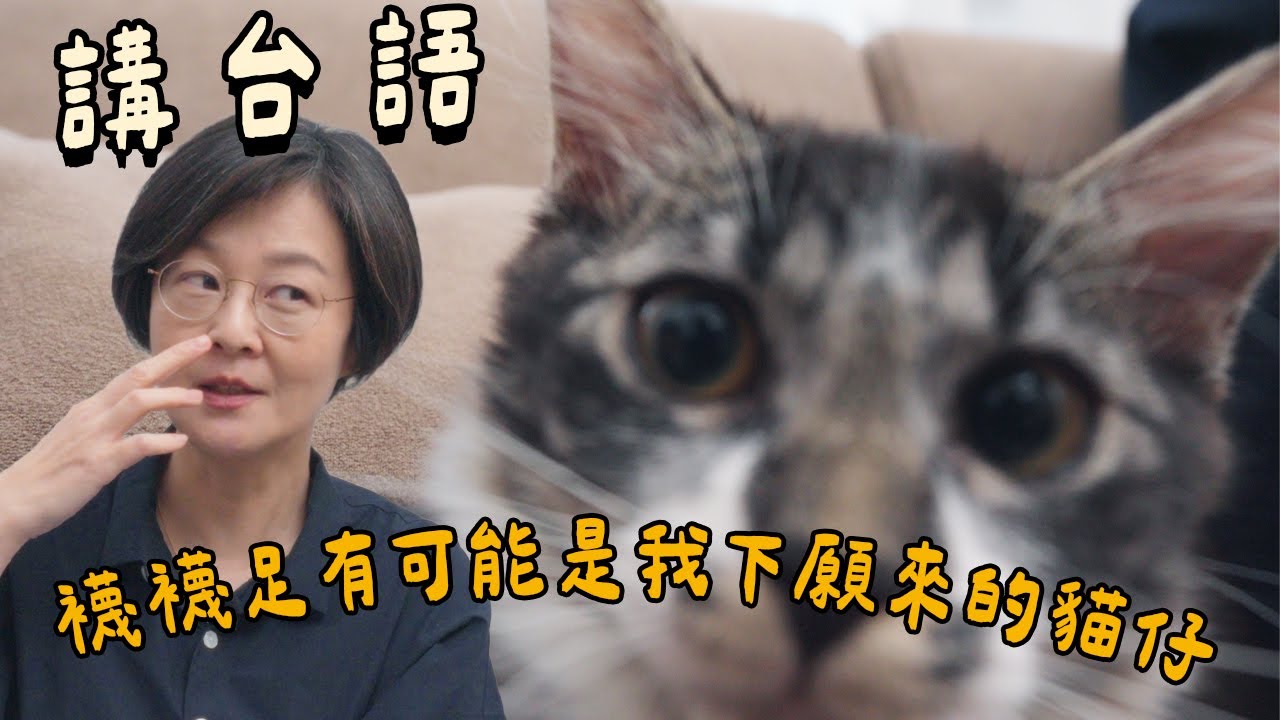 【講台語】襪襪足有可能是我下願來的貓仔