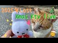 2025年ラスト！！クリスマスイブイブライブ🎄コメント沢山拾いまーす🎅