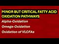 Alpha, Omega &amp; VLCFA Oxidation – The Forgotten But High-Yield Fat Pathways!