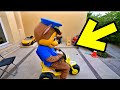 Clown opens gate to sabotage Paw Patrol tricycle Spider Man saves Paw Patrol in real life